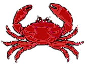 Club Gourmet Petra Martens – Krebs-Logo